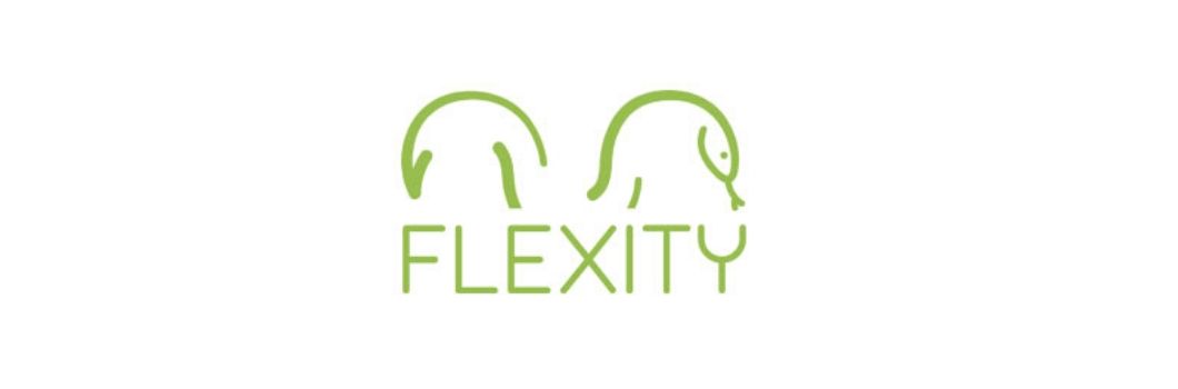 Flexity